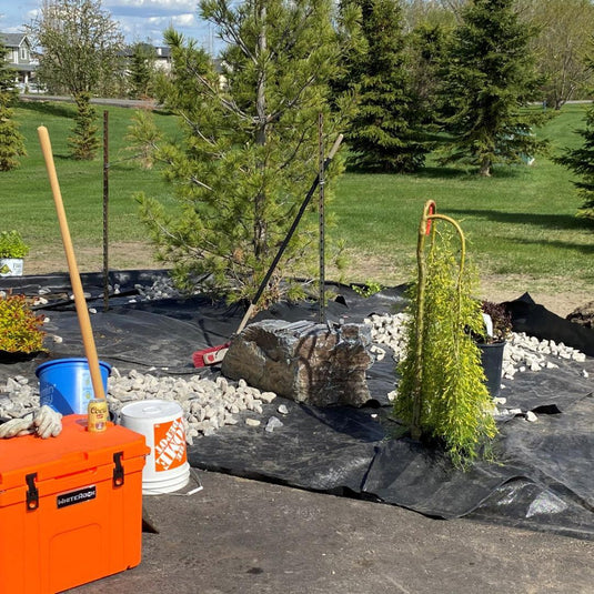 landscaping project with pine tree, decorative rock, planting supplies, and orange WhiteRock toolbox